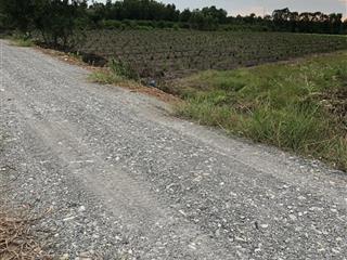 Bán lỗ 3000m2 đất vườn có sẵn 287m2 thổ cư tại xã thạnh lợi, bến lức long an. đường ô tô tận nơi