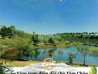 Bán đất nền dự án 186.6m2, 2 tỷ tại forest hill b, lý thái tổ, p 2, bảo lộc, lâm đồng