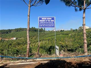 Ngân hàng thanh lý 2 lô đất mặt tiền đường nhựa lớn tại xã lộc ngãi, huyện bảo lâm, tỉnh lâm đồng