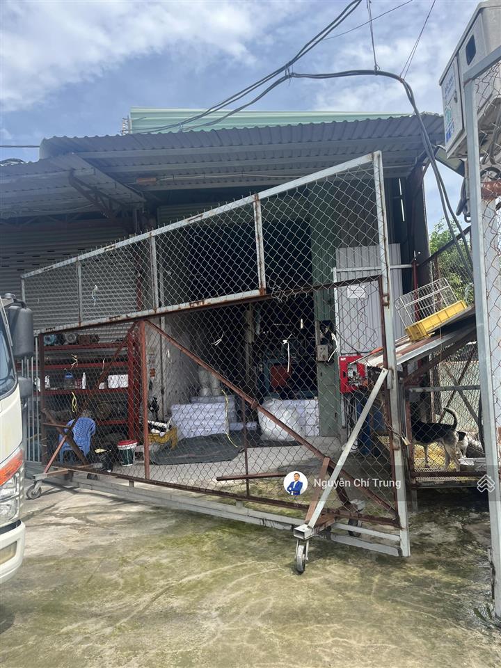 Bán đất tại bến than, bình mỹ, củ chi, giá ưu đãi 9,2 tỷ, 500m2, có 100m tc