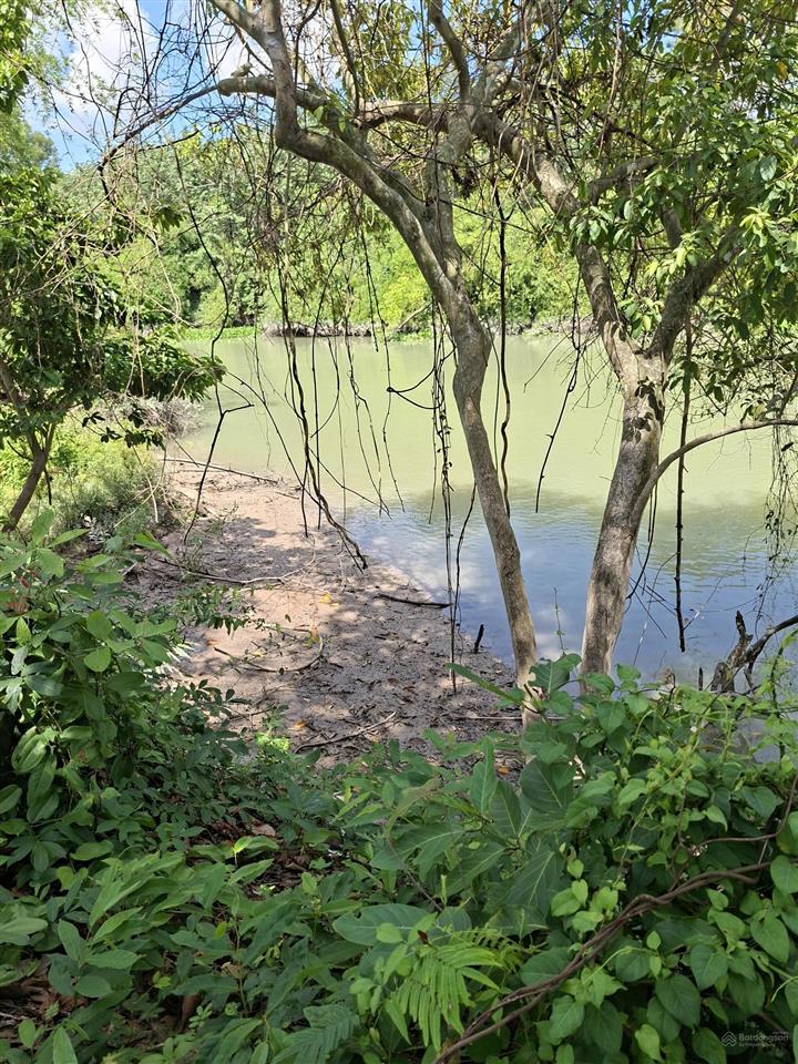 Cần bán gấp 1.3ha view sông sài gòn xã bến củi dmc tây ninh, cách kcn bến củi 400m. giá 9.5 tỷ