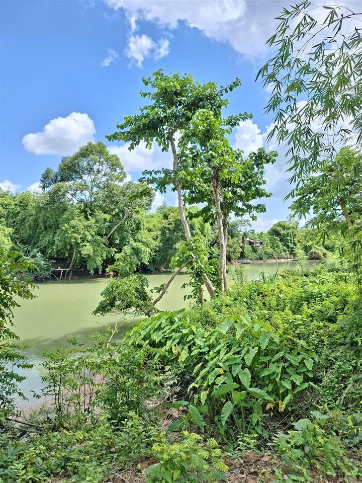 Cần bán gấp 1.3ha view sông sài gòn xã bến củi dmc tây ninh, cách kcn bến củi 400m. giá 9.5 tỷ