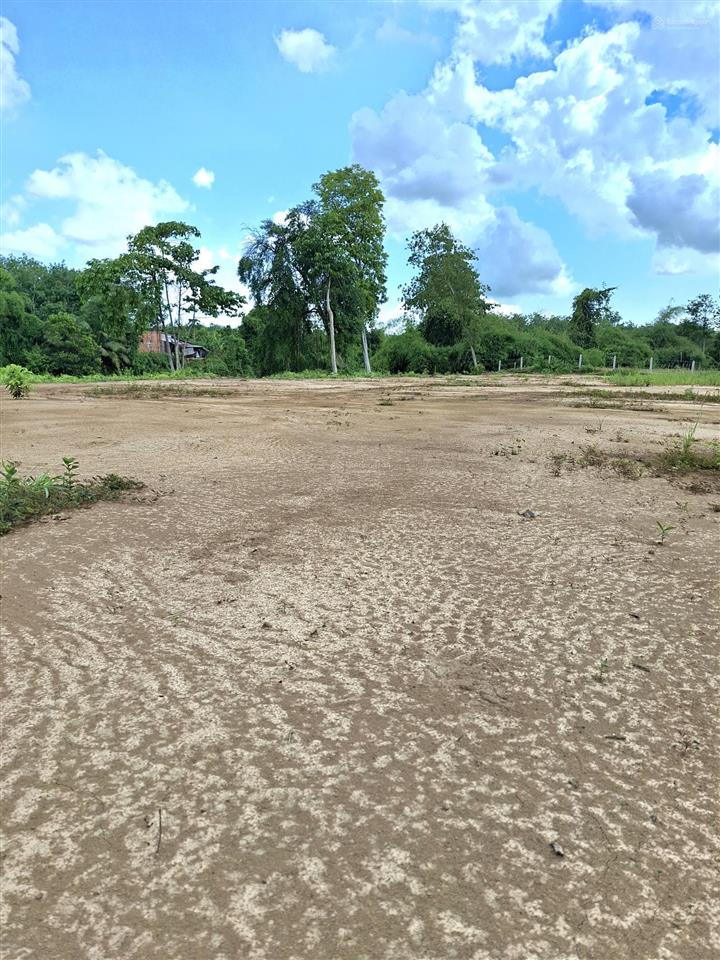 Cần bán gấp 1.3ha view sông sài gòn xã bến củi dmc tây ninh, cách kcn bến củi 400m. giá 9.5 tỷ