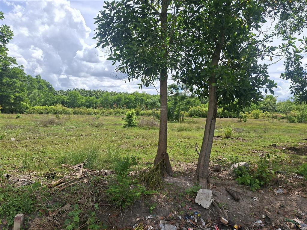 Cần bán gấp đất bến củi dương minh châu tây ninh 6x30, 99,5m² thổ cư, sát kcn 1000ha. giá 360tr.