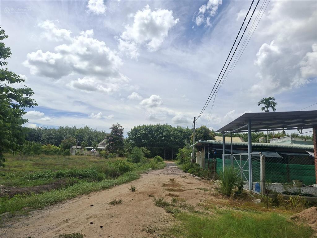 Cần bán gấp đất bến củi dương minh châu tây ninh 6x30, 99,5m² thổ cư, sát kcn 1000ha. giá 360tr.