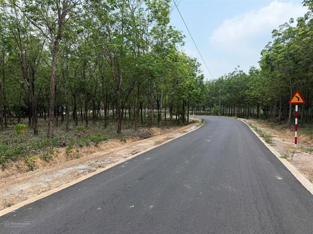 Đất mt đường vào kdl bằng lăng glamping xã dầu tiếng hcm. dt 20x100, 100mtc 2.05tỷ.  0936 419 ***