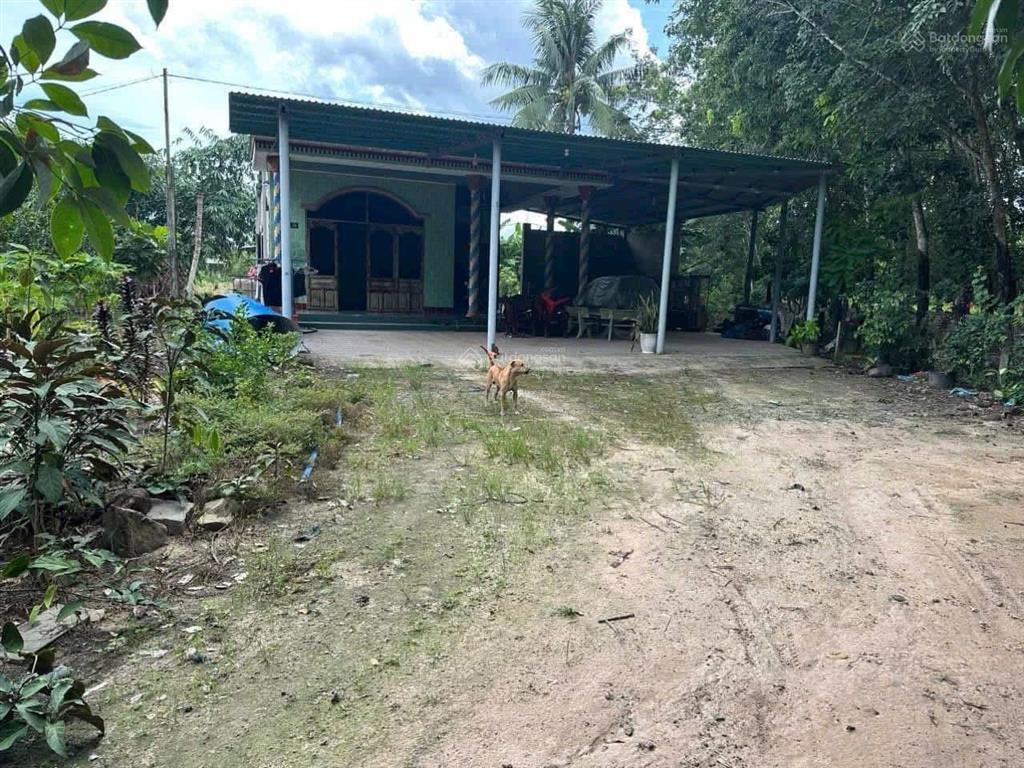 1ha đất minh thạnh dầu tiếng, 100m mặt tiền, 600m2 thổ cư. 5,5 tỷ.  định 0936 419 ***