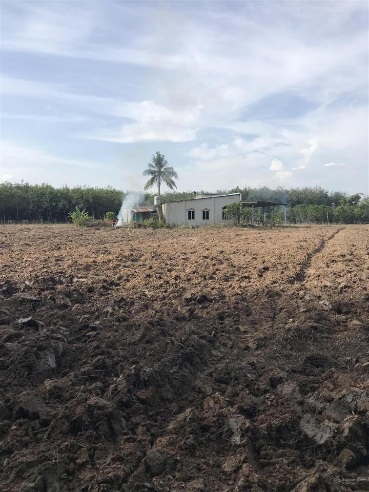 1ha đất minh thạnh dầu tiếng, 100m mặt tiền, 600m2 thổ cư. 5,5 tỷ.  định 0936 419 ***