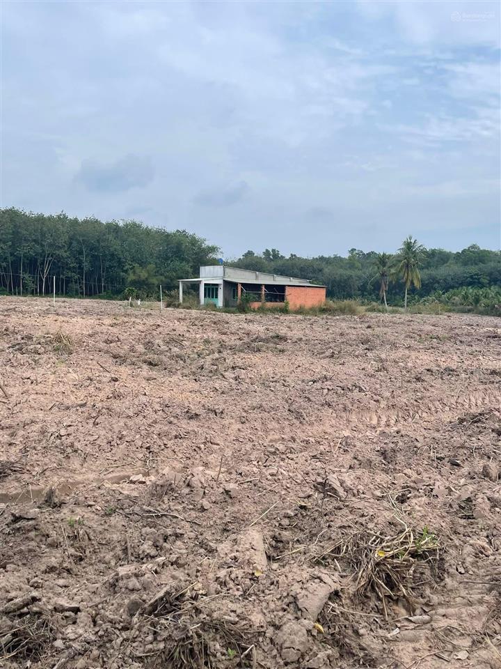 1ha đất minh thạnh dầu tiếng, 100m mặt tiền, 600m2 thổ cư. 5,5 tỷ.  định 0936 419 ***