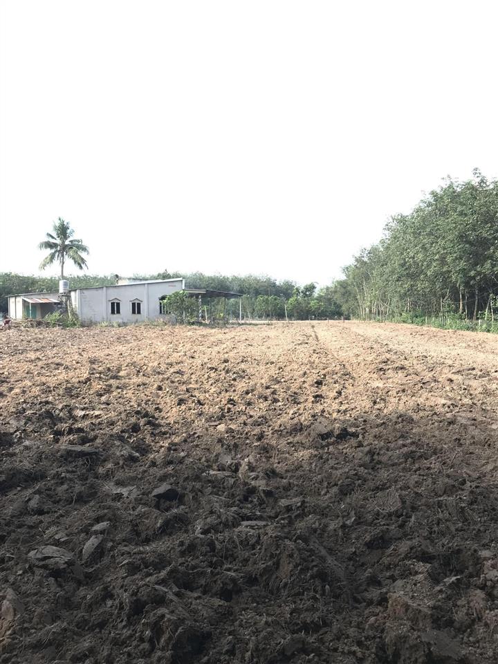 1ha đất minh thạnh dầu tiếng, 100m mặt tiền, 600m2 thổ cư. 5,5 tỷ.  định 0936 419 ***
