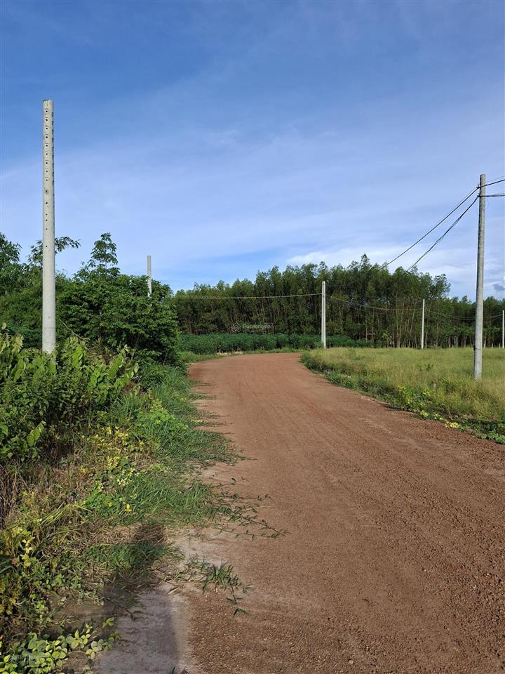 Kẹt tiền bán gấp 2.8ha, 6 tỷ, đất minh hòa dầu tiếng, lên được thổ cư, kdc. giá 6 tỷ