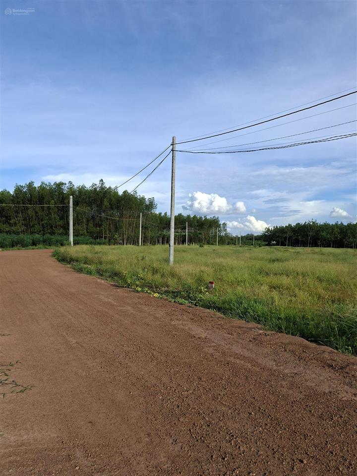 Kẹt tiền bán gấp 2.8ha, 6 tỷ, đất minh hòa dầu tiếng, lên được thổ cư, kdc. giá 6 tỷ