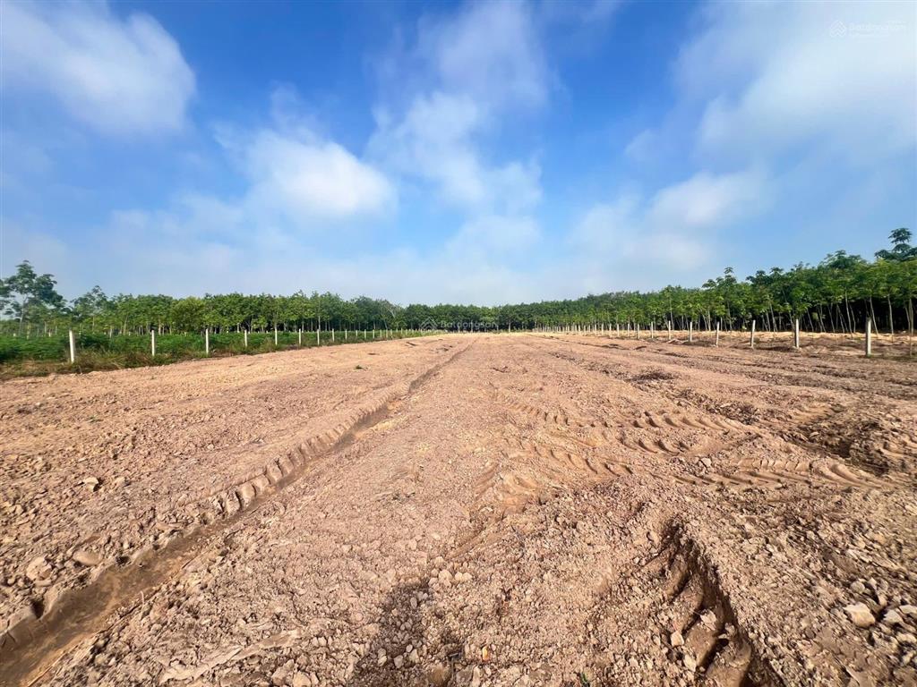 Gia đình cần bán 2000m2 đất long hòa, có 100m2 thổ cư, đường sắp làm nhựa. giá 1.25tỷ