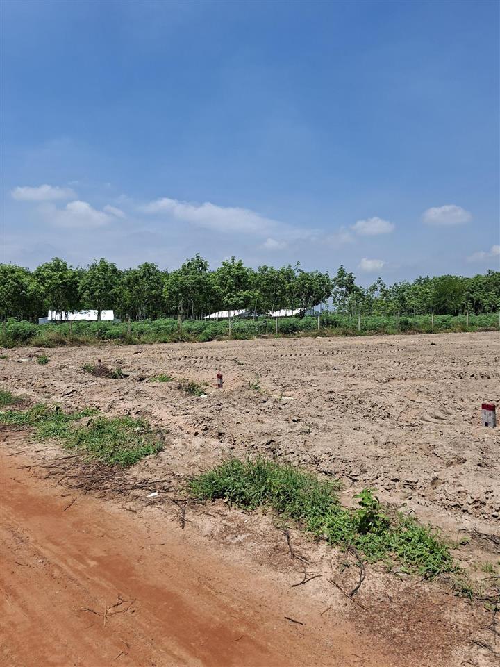 Gia đình cần bán 2000m2 đất long hòa, có 100m2 thổ cư, đường sắp làm nhựa. giá 1.25tỷ