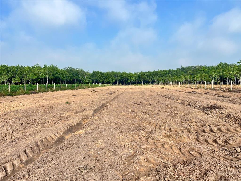 Gia đình cần bán 2000m2 đất long hòa, có 100m2 thổ cư, đường sắp làm nhựa. giá 1.25tỷ