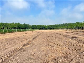 Gia đình cần bán 2000m2 đất long hòa, có 100m2 thổ cư, đường sắp làm nhựa. giá 1.25tỷ