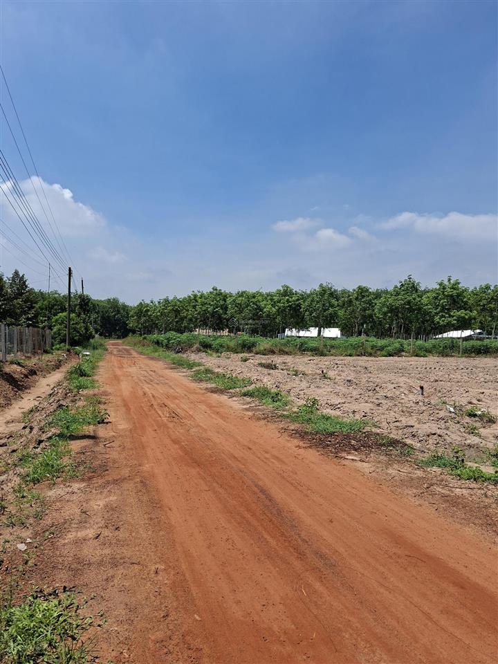 Gia đình cần bán 2000m2 đất long hòa, có 100m2 thổ cư, đường sắp làm nhựa. giá 1.25tỷ