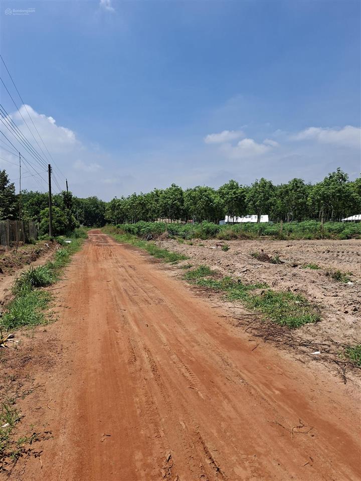 Gia đình cần bán 2000m2 đất long hòa, có 100m2 thổ cư, đường sắp làm nhựa. giá 1.25tỷ