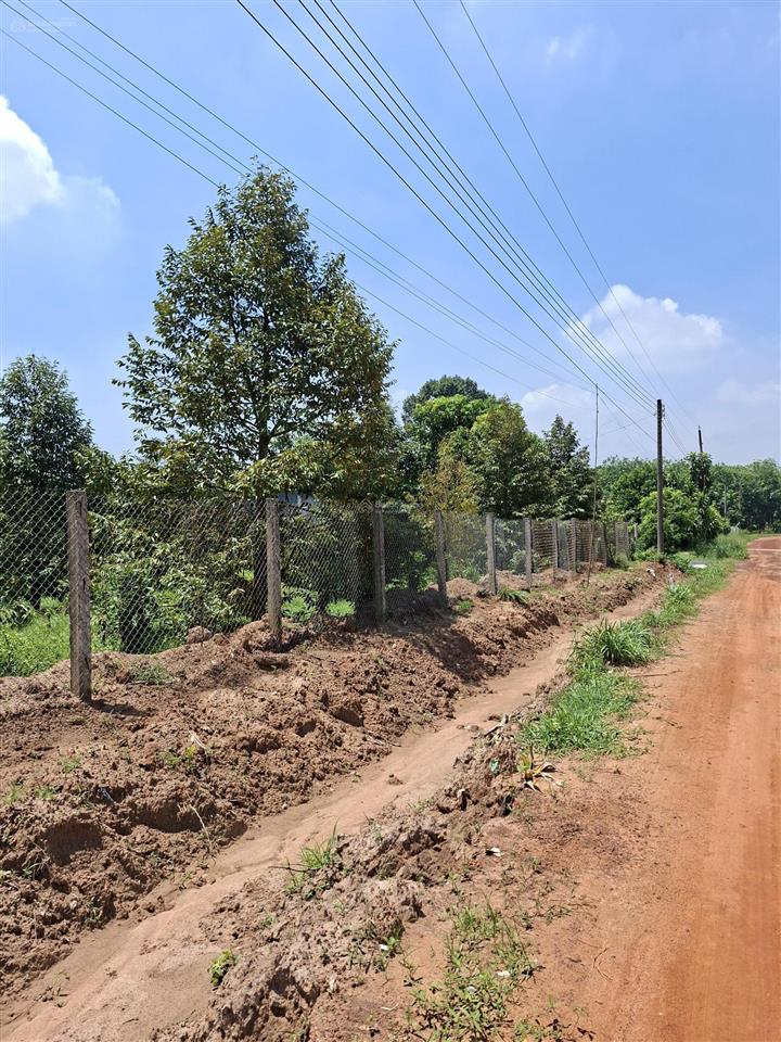 Gia đình cần bán 2000m2 đất long hòa, có 100m2 thổ cư, đường sắp làm nhựa. giá 1.25tỷ