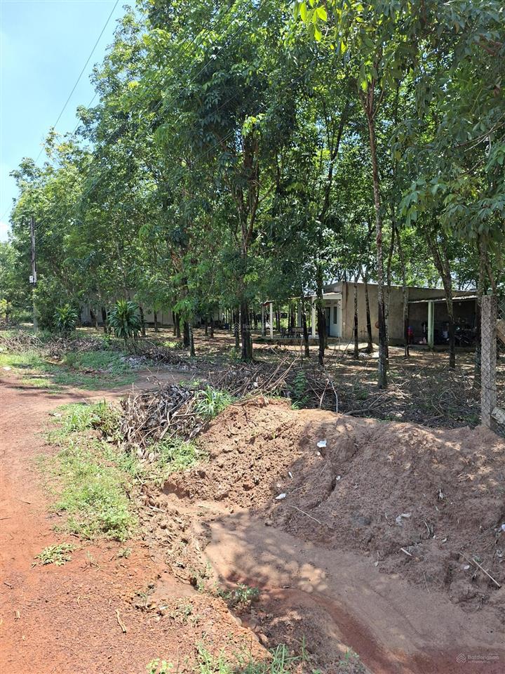 Gia đình cần bán 2000m2 đất long hòa, có 100m2 thổ cư, đường sắp làm nhựa. giá 1.25tỷ
