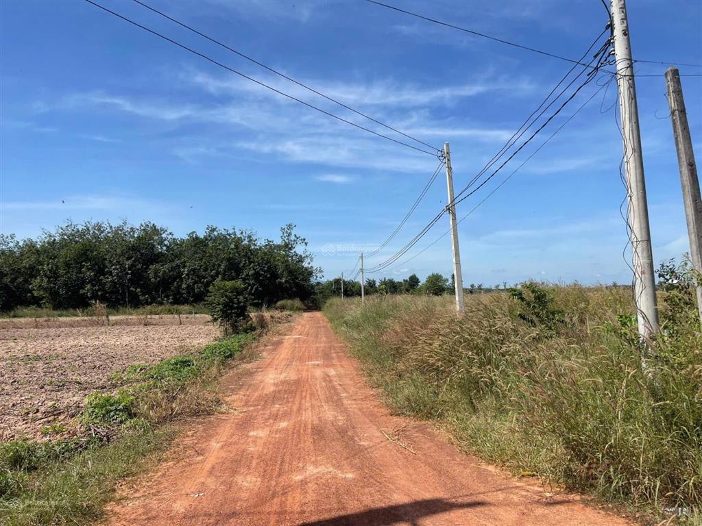 Gia đình cần bán 22ha (22 hecta) 1000m mặt tiền đường sỏi đỏ, xã minh hòa gần hồ dầu tiếng