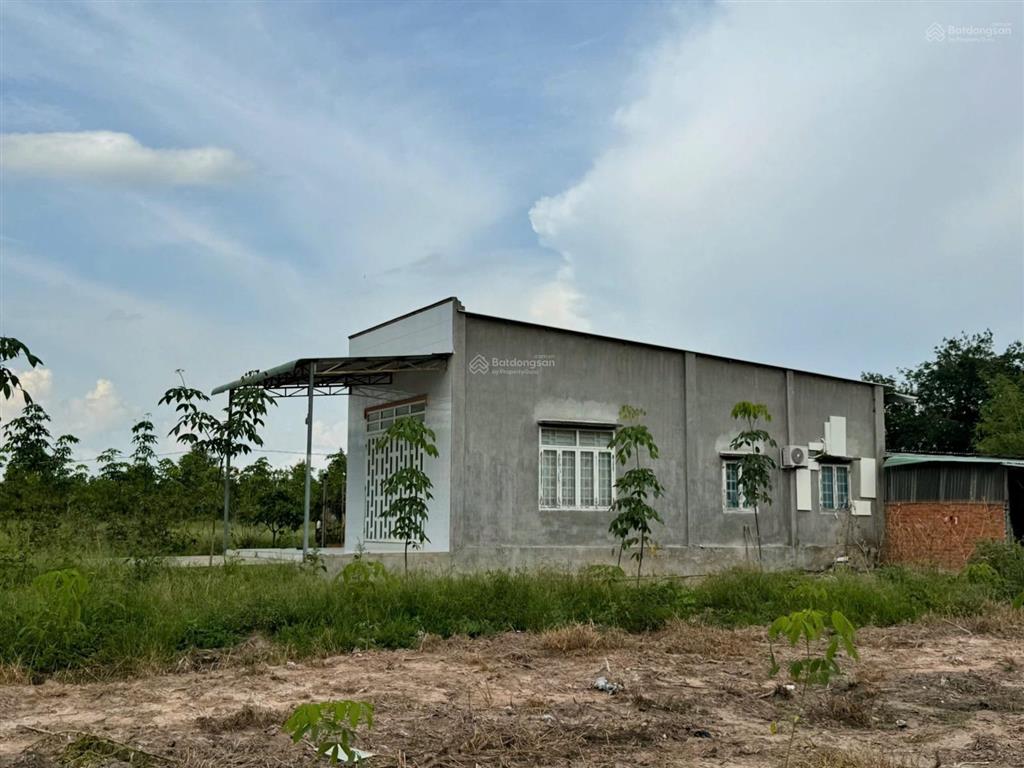 Chính chủ kẹt tiền bán 6.468m2, 200mtc, nhà yến, vườn cao su. xã minh thạnh tphcm. giá 2.1tỷ