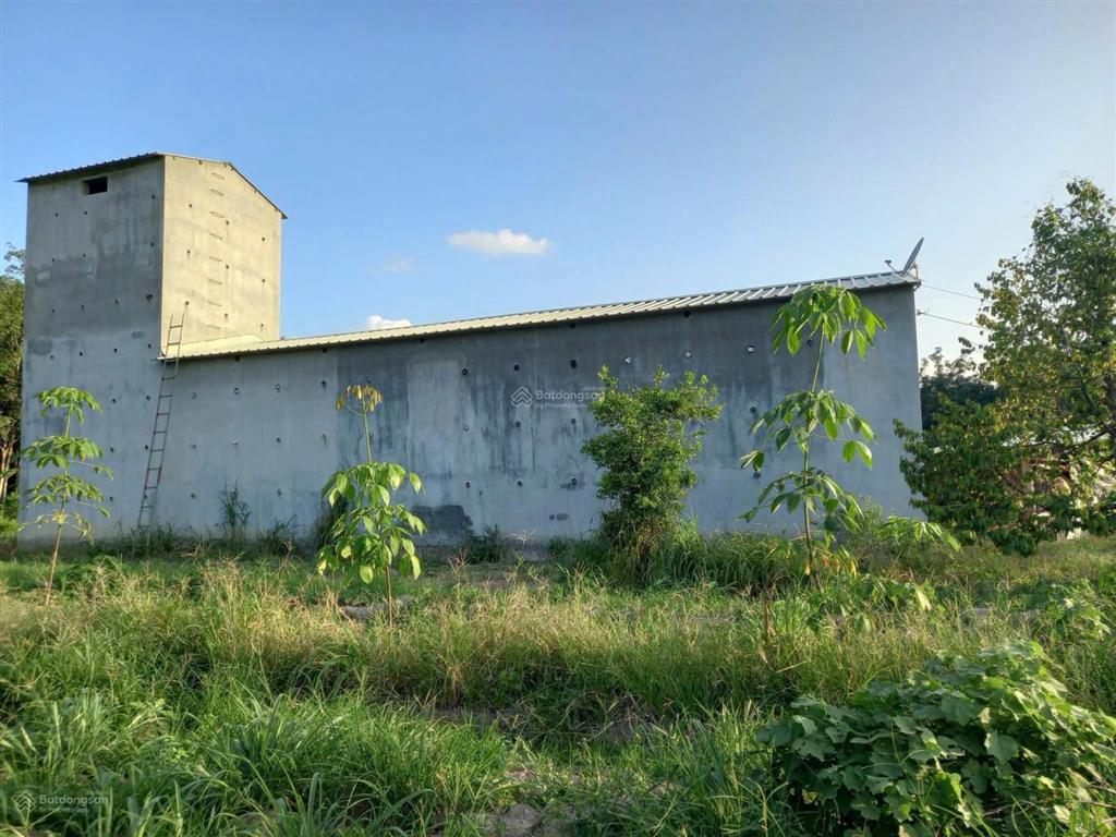 Chính chủ kẹt tiền bán 6.468m2, 200mtc, nhà yến, vườn cao su. xã minh thạnh tphcm. giá 2.1tỷ