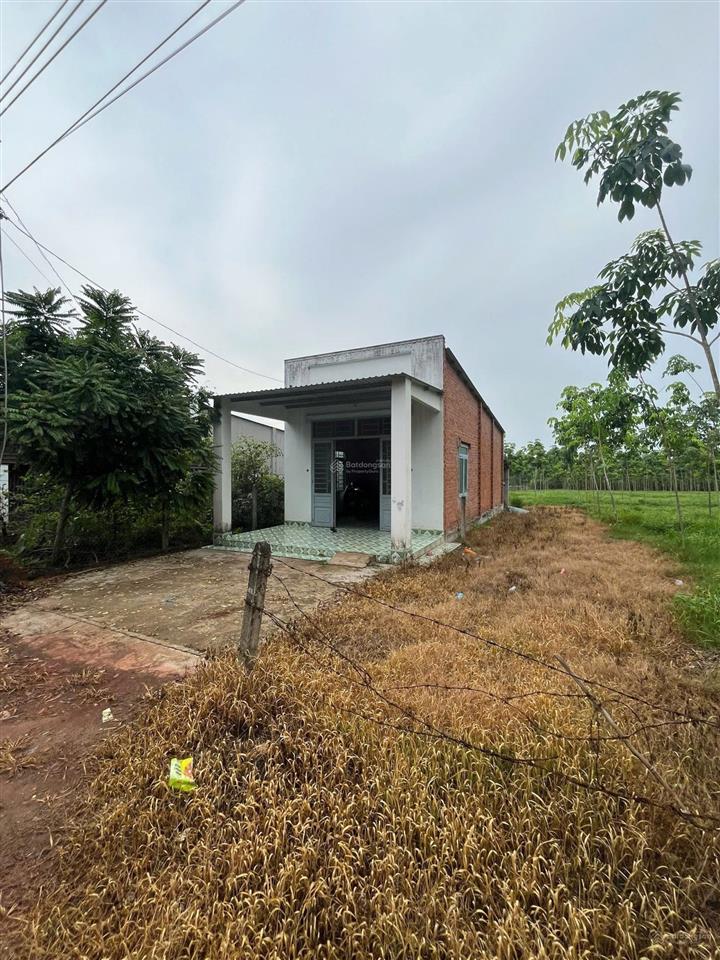 Nợ ngân hàng cần bán 1.65ha đất cao su và 70 gốc sầu riêng 5 năm tuổi xã long hòa tphcm. giá 5.5tỷ