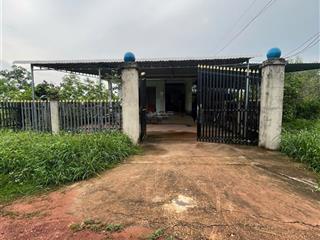 Nợ ngân hàng cần bán 1.65ha đất cao su và 70 gốc sầu riêng 5 năm tuổi xã long hòa tphcm. giá 5.5tỷ