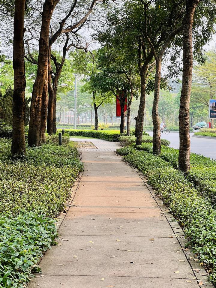 Ra hàng căn liền kề st5 full đồ gamuda, vị trí đẹp giá 34 tỷ.  0969 868 ***