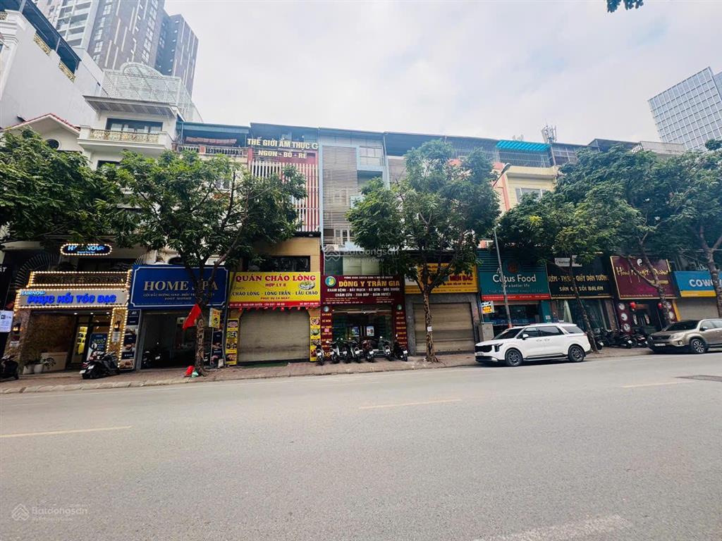Chính chủ bán gấp 85m2 đất phố mạc thái tông, 2 mặt thoáng vỉa hè rộng, xây tòa văn phòng giá 31 tỷ