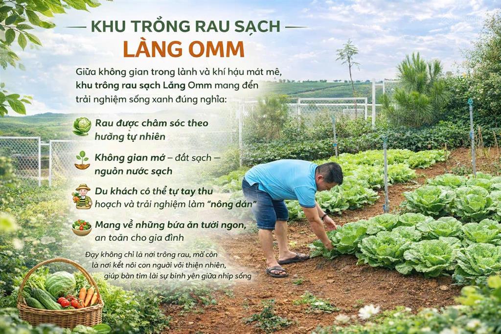 Làng omm bảo lộc  ngôi nhà thứ 2 đáng sở hữu