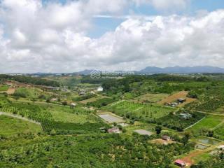 Bán đất tại thôn 1, xã cộng hòa, huyện quốc oai, hà nội, 20 tỷ, 380 m2 chỉ với uy tín