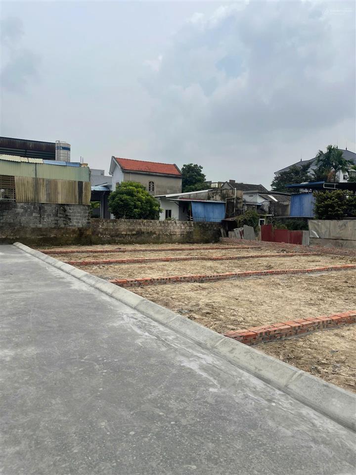 395 triệu/60m2 đất trung tâm chợ hợp thành, thủy nguyên  sổ riêng, gần trường, khu dân cư đông