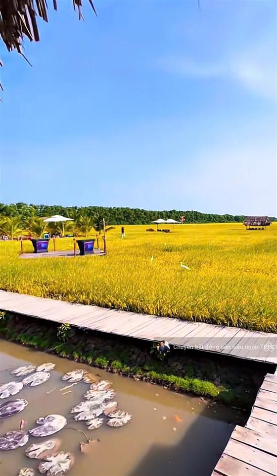 Chính chủ cần bán gấp 3 lô đất liền kề full thổ cư,sổ hồng riêng,mt đường bờ rỗi,cách biển 800m.shr