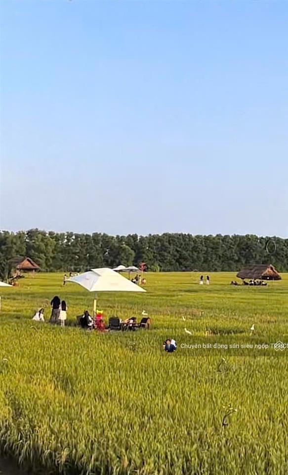 Chính chủ cần bán gấp 3 lô đất liền kề full thổ cư,sổ hồng riêng,mt đường bờ rỗi,cách biển 800m.shr