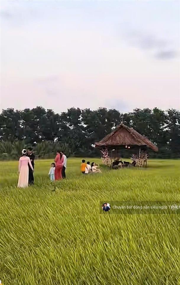 Chính chủ cần bán gấp 3 lô đất liền kề full thổ cư,sổ hồng riêng,mt đường bờ rỗi,cách biển 800m.shr