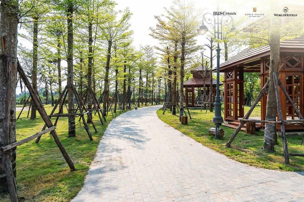 Bán nhà phố căn ngoại giao giá cực tốt 50m2 xây 4 tầng full giá chỉ 11.2 tỷ, tặng voucher ck