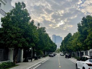 Song lập ngọc trai 17xx oceanpark 1