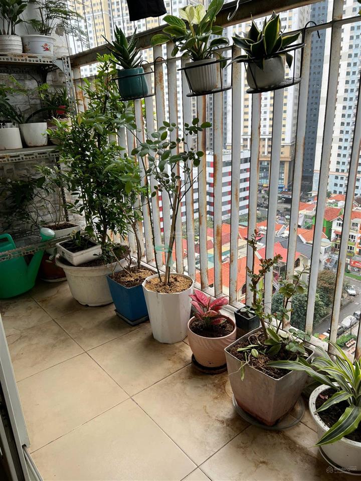 Chính chủ bán chcc thông tấn xã 110m2 giá 7.86 tỷ (có thương lượng)