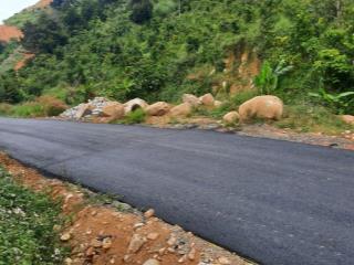 Bán 14.128m2 đất xã lộc nam, bảo lộc cũ (nay là xã bảo lâm 3), lâm đồng giá rẻ hấp dẫn