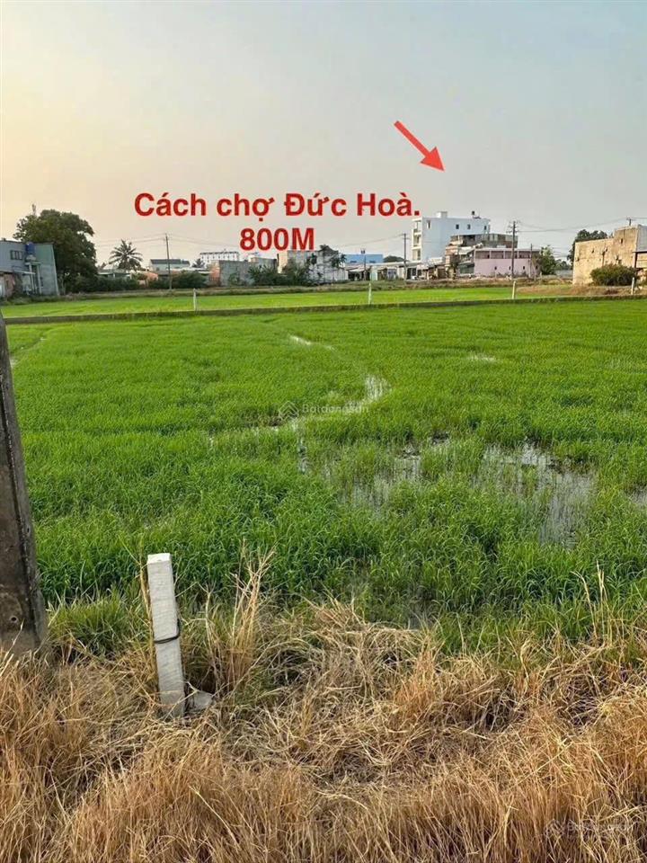 Cần bán gấp lô đất 1/ nhựa 2! 110m2 giá 1.05 tỷ shr