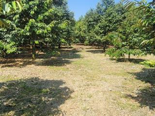 Đất sào phường bình lộc, tp. long khánh, đồng nai