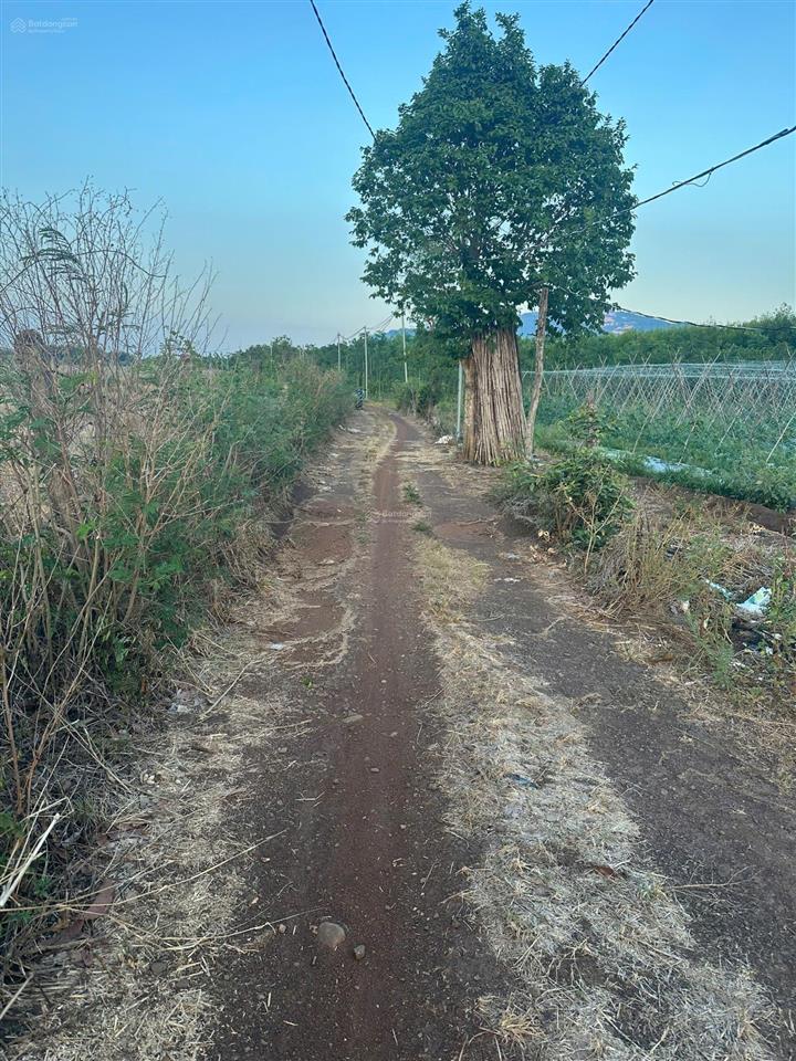 Đất sào giá rẻ chính chủ xuân lộc đồng nai