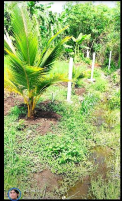 Siêu phẩm 500m vuông ở bảo vinh, tp long khánh