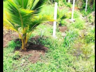 Siêu phẩm 500m vuông ở bảo vinh, tp long khánh