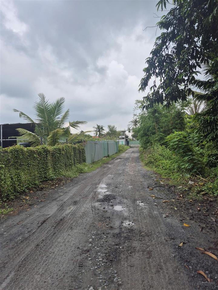 Chính chủ bán đất giá tốt hóc môn 858m ngang 25m thổ cư