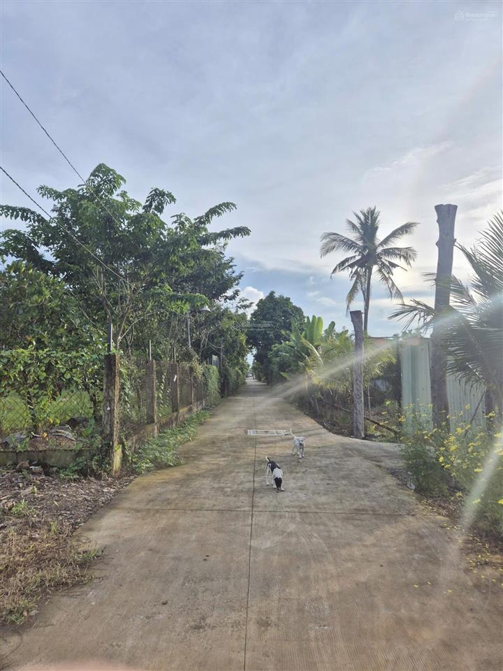 Chính chủ bán đất giá tốt hóc môn 858m ngang 25m thổ cư