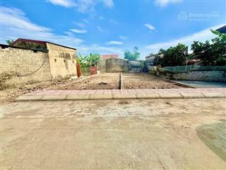 Chính chủ cần bán lô lương câu  tân viên  an lão ( có thương lượng)