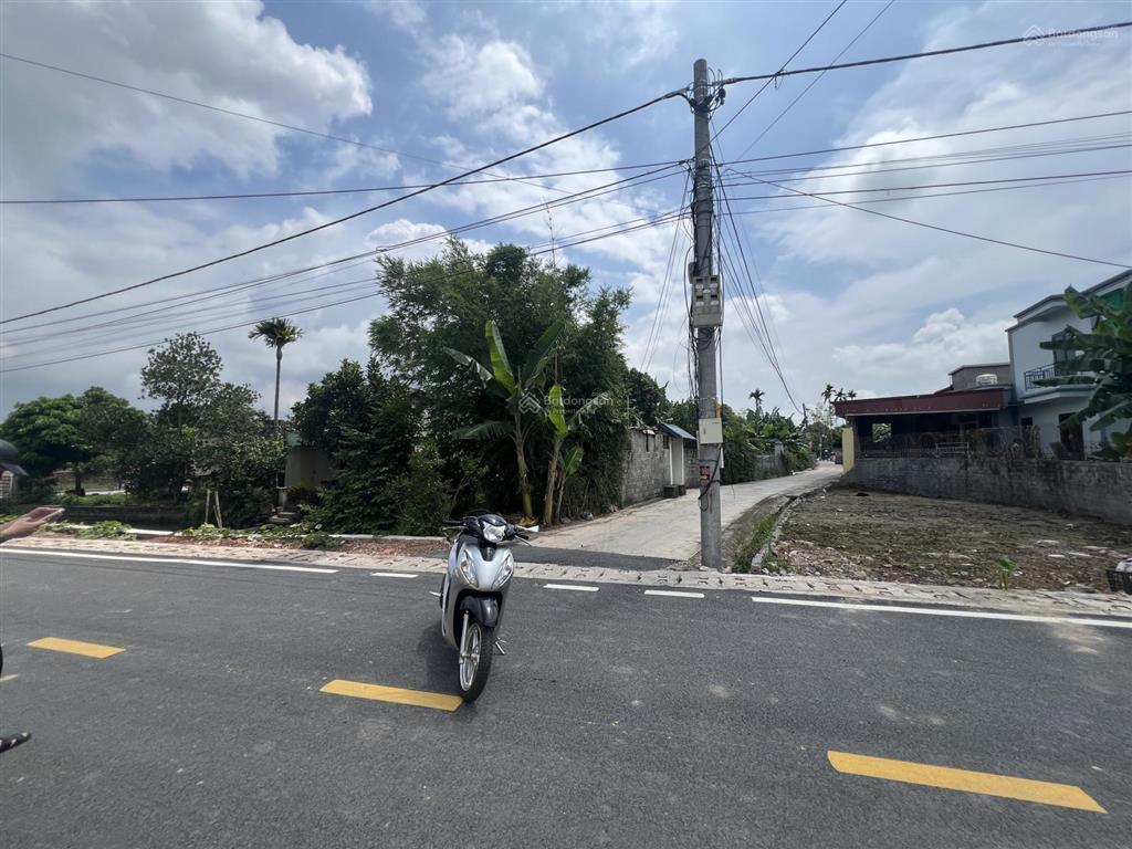 Chính chủ cần bán lô lương câu  tân viên  an lão ( có thương lượng)